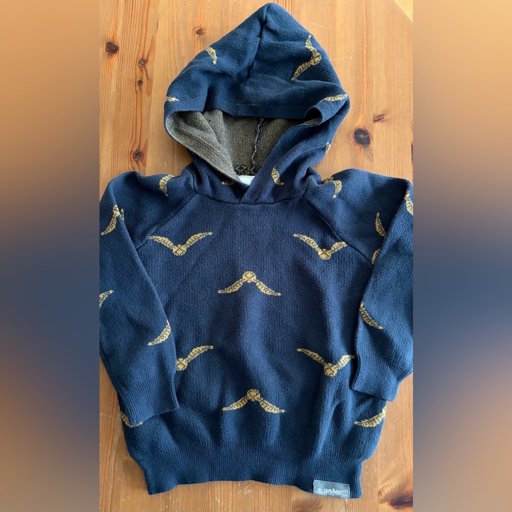 Harry Potter Navy and Gold Patterned Hoodie
